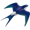 ShareMate