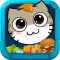 Kitten Finding Food