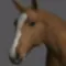 Horse Pose Tool