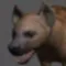 Hyena Pose Tool 3D