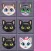 A Happy Kittens Bloom