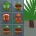 A Tribal Masks Bloom