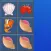 A Sea Creatures Bloom