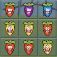 A Carrot Garden Darmy