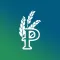 Pembina