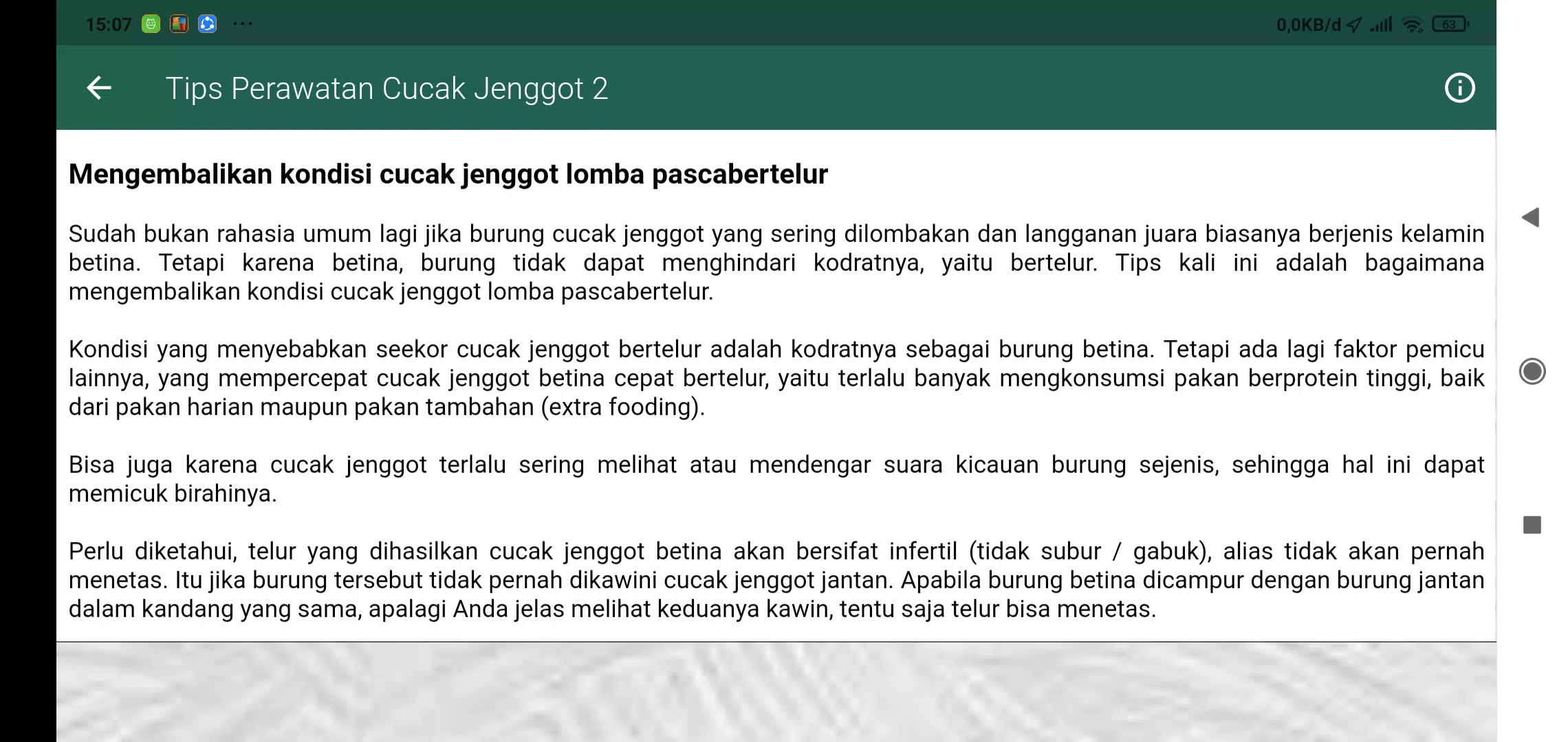 Zrzuty ekranu Masteran Cucak Jenggot Gacor