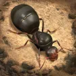 The Ants: Underground Kingdom The Ants: Underground Kingdom