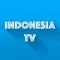 Indonesia TV Online