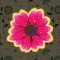 Flower Messenger