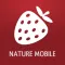Wild Berries and Herbs 2 PRO