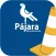Pajara Avisa