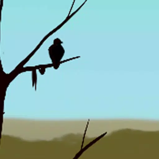 Fly Away Adventure