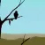 Fly Away Adventure