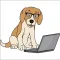 ITC_MTY: BeagleSort