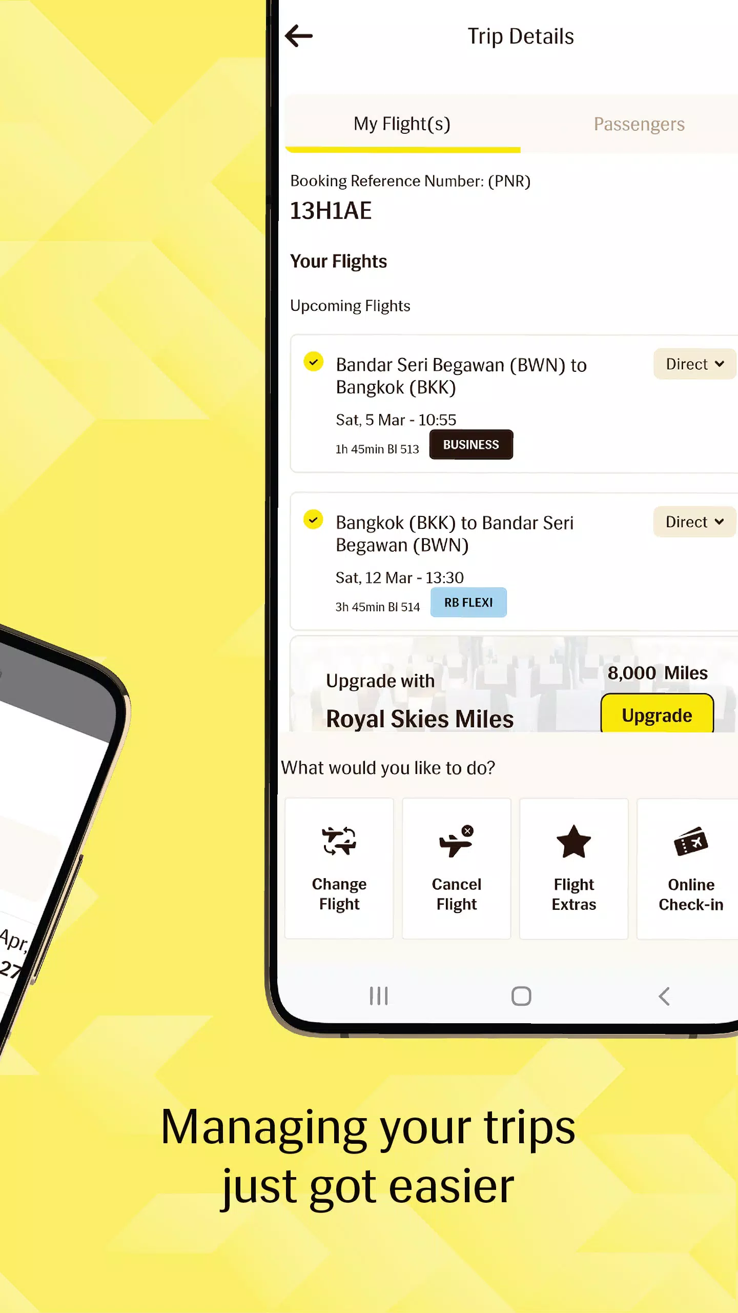 Royal Brunei Airlines Screenshots
