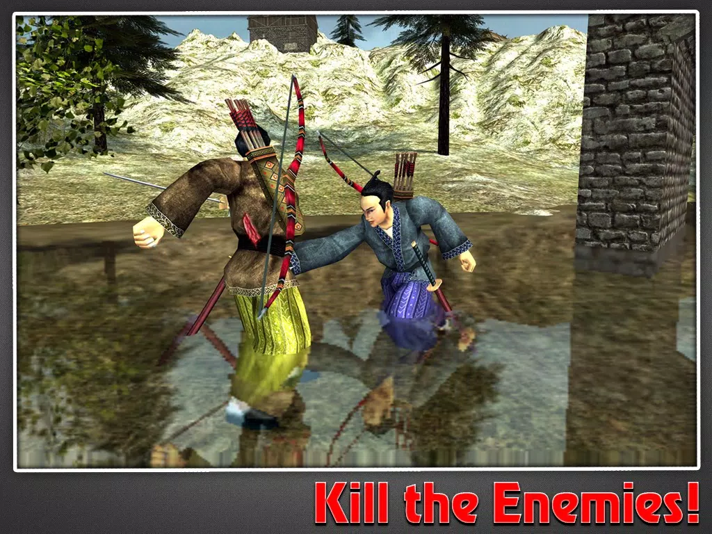 Samurai Warrior Assassin iPad 应用截图