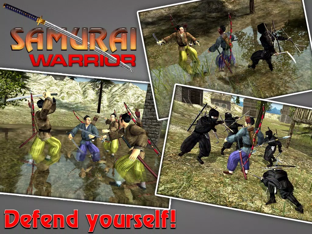 Samurai Warrior Assassin iPad 应用截图