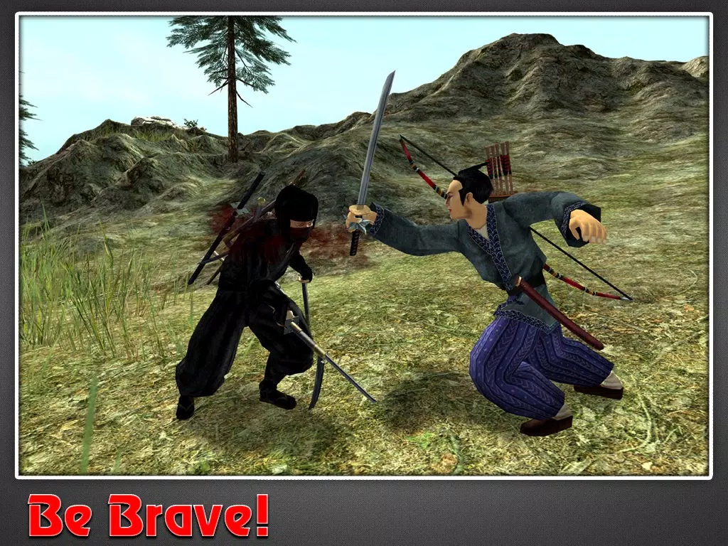 Samurai Warrior Assassin iPad 应用截图