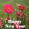 Amazing New Year Greetings