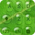 Green Keyboard Theme & Emoji
