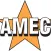 AMEC DUMPSTER RENTAL