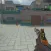 Sniper Fire:Gun Shooting Games