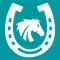 競馬収支|けいば馬券収支表,回収率計算のギャンブル収支表