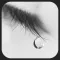 Spirit SPA music and relaxing sounds free HD - recharge your mind