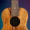 Ukulele Simulator Play & Learn