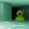 The Wetrooms: Liminal Pools