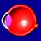 Eye Structure and Function