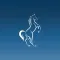 WhiteHorse App