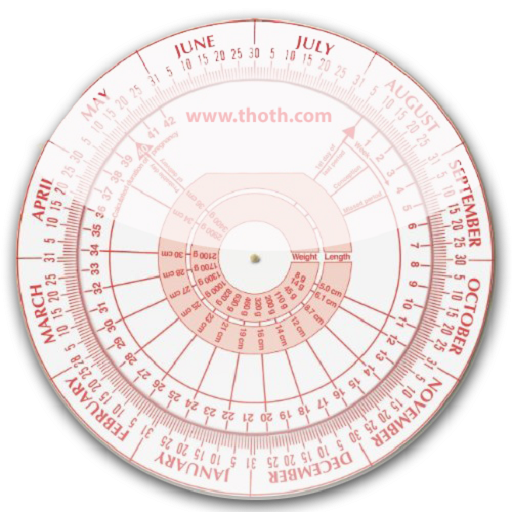 Pregnancy Calculator