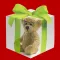 What's My Gift?