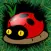The BUGS WARS