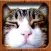 Cat Photo