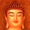 ListenBuddha Lite