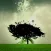Mindfulness For Beginners
