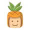 Ananas اناناس