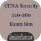 Exam Sim For CCNA Security