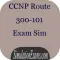 ExamSim For CCNP Route 300-101