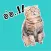 Oh My Cat Animated Stickers