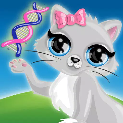 Pets Evolution Pets Evolution