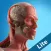 Anatomy Game Anatomicus Lite