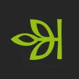 Ancestry: Family History & DNA