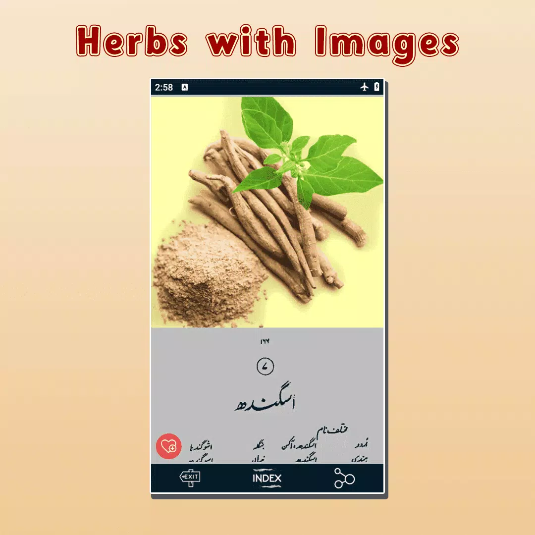 Gharelu Ilaj Encyclopedia Book Screenshots
