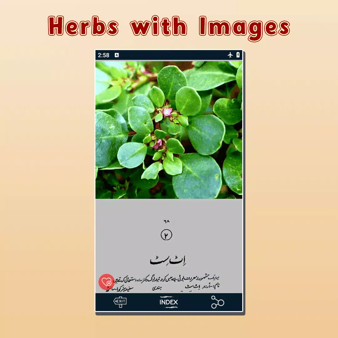 Gharelu Ilaj Encyclopedia Book Screenshots