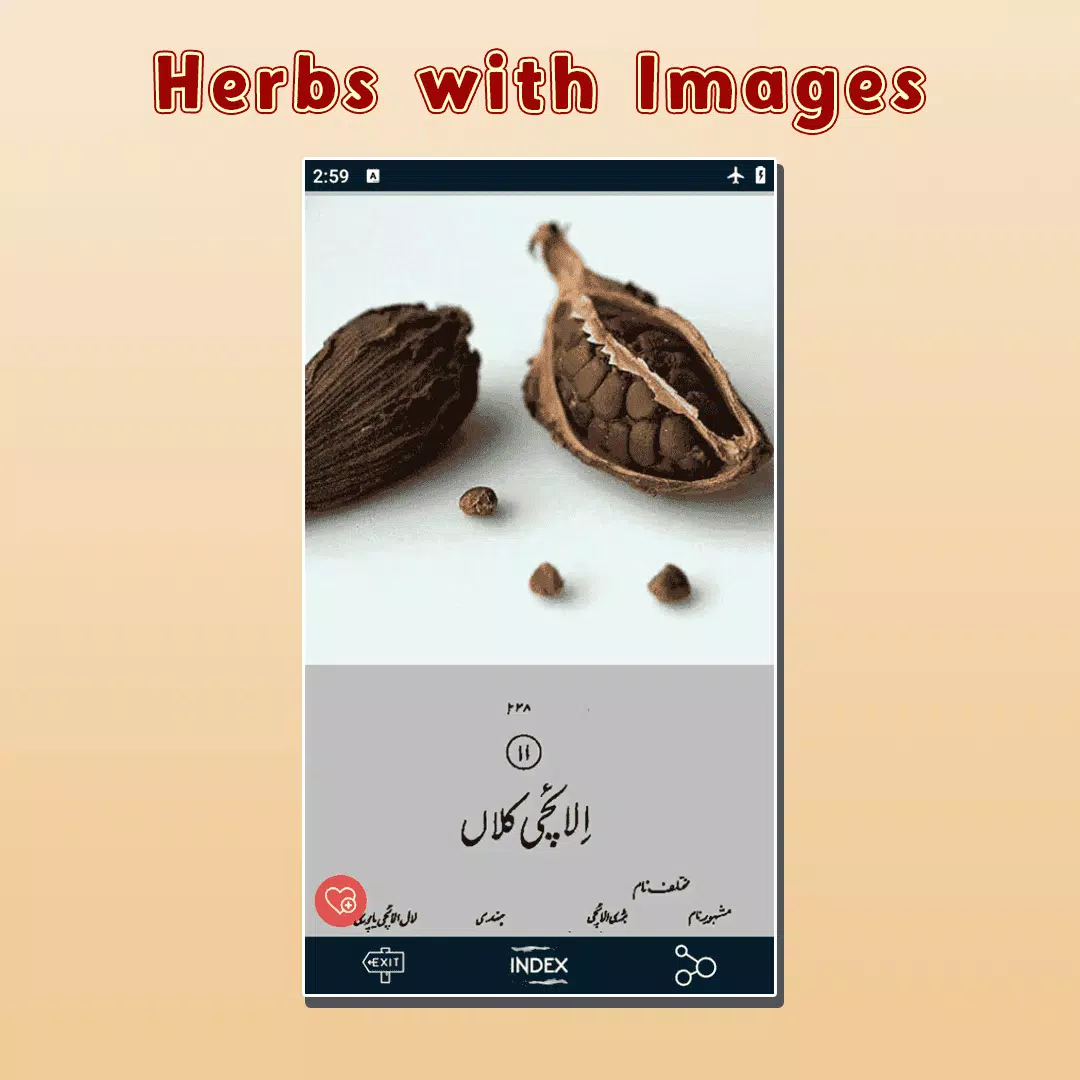 Gharelu Ilaj Encyclopedia Book Screenshots