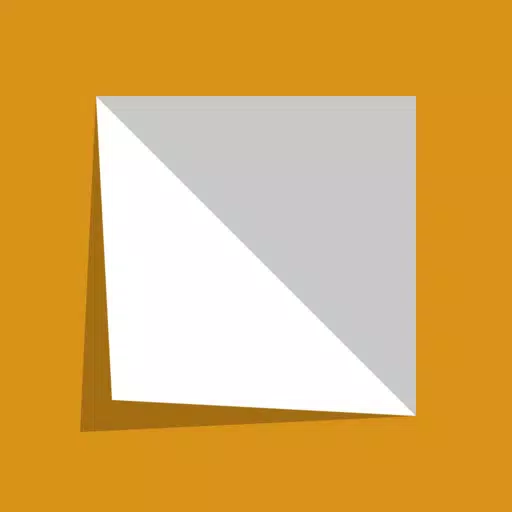 Folding Paper Folding Paper