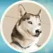 Funny Husky! Stickers
